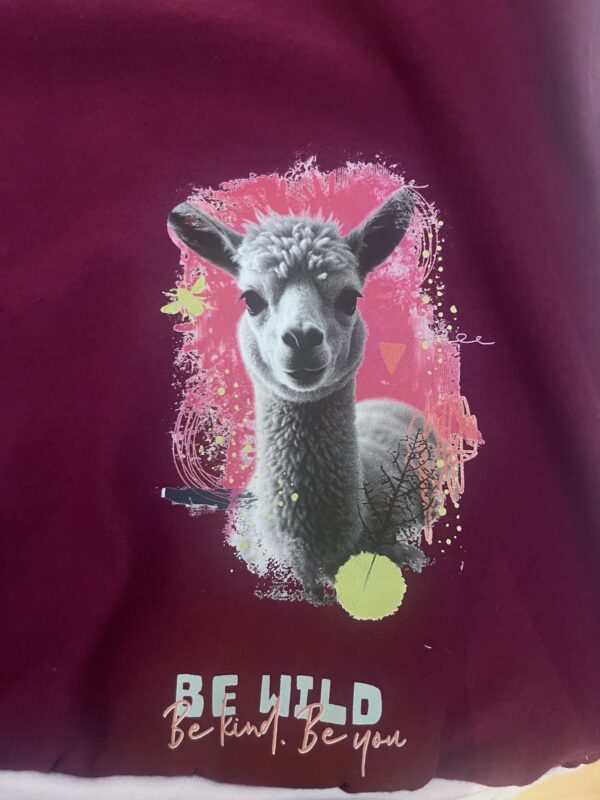 Alpaca shirt